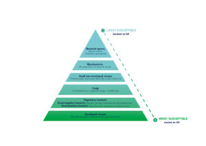 hypochlorous acid pyramid